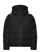 Linn Jacket Kari Traa Black