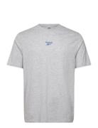 Id 2-Color Logo Back Graphic T-Shir Reebok Classics Grey