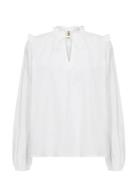 Sc-Netti Soyaconcept White