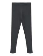 Rib Leggings Maddy Wheat Navy