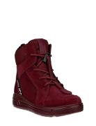 Urban Snowboarder ECCO Burgundy