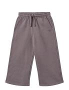 Sweatpants Straight Cruz Wheat Purple