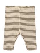 Jersey Pants Silas Wheat Yellow