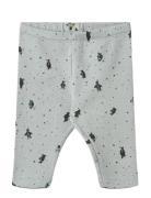 Jersey Pants Silas Wheat Blue