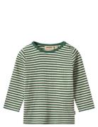 T-Shirt L/S Stig Wheat Green