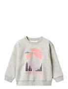 Sweatshirt L/S Ellis Wheat Grey