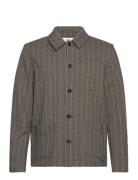 Libre Ax Stripes Gabba Brown