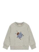 Ppdov Sweat Shirt Petit Piao Grey