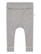 Ppdian Fold Leggings Stripe Noos Petit Piao Navy