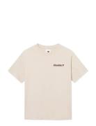 Wwliam Tee Aaneue 25220 WOOD WOOD Cream
