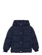 Quilted Jacket Solid Minymo Navy