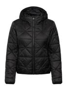 Fandine-1 HUGO Black