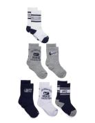 6W-6Pk Crew Sock Nike Grey