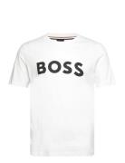 Tiburt 354 BOSS White