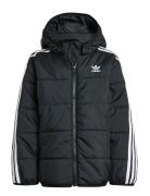 Padded Jacket Adidas Originals Black