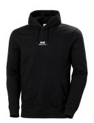 Yu Hoodie 2.0 Helly Hansen Black