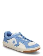 Pro Blaze Classic Ox Egret/Open Sky Converse Blue