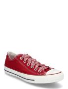 Ctas Ox Days Ahead/White/Horizon Pink Converse Red