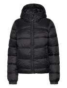 Sports Puffer Bomber Jacket Superdry Sport Black