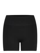 Collective Seamless Hotpants W Craft Black