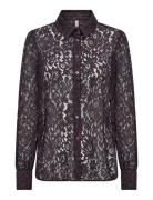 Sc-Nilla Soyaconcept Purple