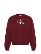 Ls Monologo French Terry Rlxd Cr Calvin Klein Jeans Burgundy