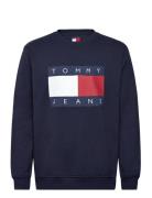 Tjm Reg Big Flag Cneck Ext Tommy Jeans Navy