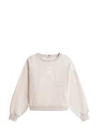 Varsity Crest Fleece Swtshrt Tommy Hilfiger Beige