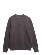 Micro Logo Crew Superdry Grey
