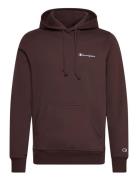 Hooded Sweatshirt Champion Brown