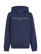 Essential Hoodie Tommy Hilfiger Navy