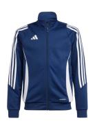 Tiro24 Trjkty Adidas Performance Blue