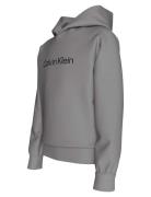 Inst. Logo Reg. Terry Hoodie Calvin Klein Grey