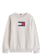 Tommy Script Flag Sweatshirt Tommy Hilfiger Grey