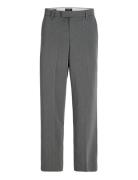 Jpstbill Toby Chino Noos Jack & J S Grey