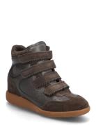 Mustang Steve Madden Brown