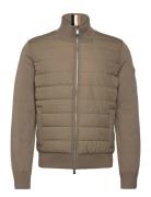 H-Hernesto BOSS Beige