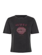 Cmmuse-Tee Copenhagen Muse Black