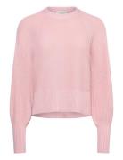 Vicckii Ted Baker London Pink