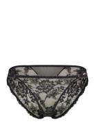 Emory Brief Dorina Black