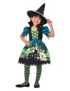 Witch Hokkus Pokkus 6-8 Y 128 Cm IPK Green