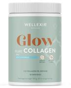 Wellexir Glow Pure Collagen 360 g