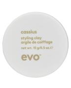 Evo Cassius Styling Clay 15 g