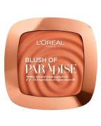 L'oréal Blush Of Paradise - 01 Life Is A Peach 9 g