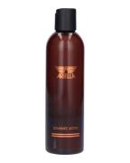 Ariella Schamee Active Invigorating Shampoo 250 ml