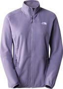 Women's 100 Glacier Full-Zip LUNAR SLATE