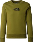 The North Face B Drew Peak Light Crew Forest Olive