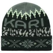 Kari Traa Women's Khloe Beanie Dark Green