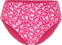 Abecita Women's Cuba Maxi Bikini Briefs Pink Lady