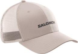 Salomon Logo Trucker Cap Etherea